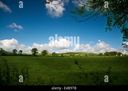 Typische Irland Stockfoto