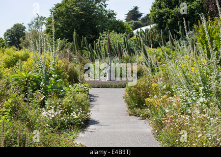 Gesamtansicht der Ventnor Botanic Garden in Ventnor, Isle Of Wight, England an einem sonnigen Sommertag. Stockfoto