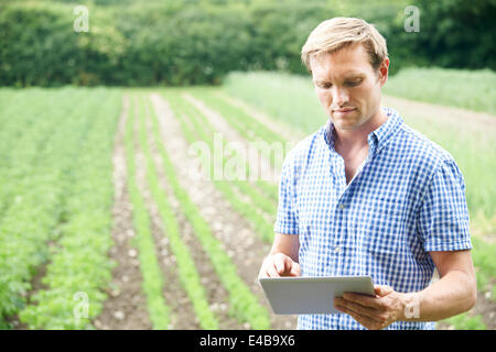 Landwirt im Bereich der biologischen Anbau mit Digital-Tablette Stockfoto