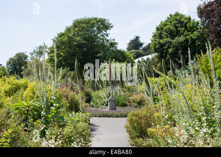Gesamtansicht der Ventnor Botanic Garden in Ventnor, Isle Of Wight, England an einem sonnigen Sommertag. Stockfoto