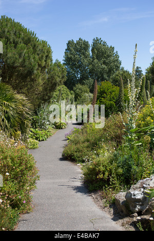 Gesamtansicht der Ventnor Botanic Garden in Ventnor, Isle Of Wight, England an einem sonnigen Sommertag. Stockfoto