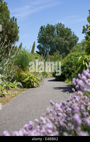 Gesamtansicht der Ventnor Botanic Garden in Ventnor, Isle Of Wight, England an einem sonnigen Sommertag. Stockfoto