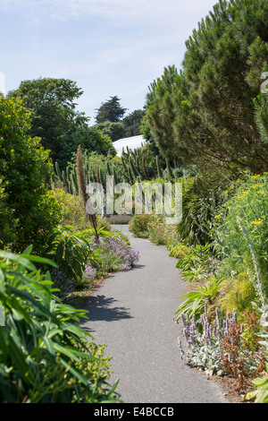 Gesamtansicht der Ventnor Botanic Garden in Ventnor, Isle Of Wight, England an einem sonnigen Sommertag. Stockfoto