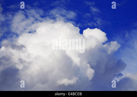 Cumulus-Wolken schweben auf den dunkelblauen Himmel Stockfoto