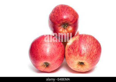 Roter Gala Äpfel auf einem weißen Hintergrund Stockfoto