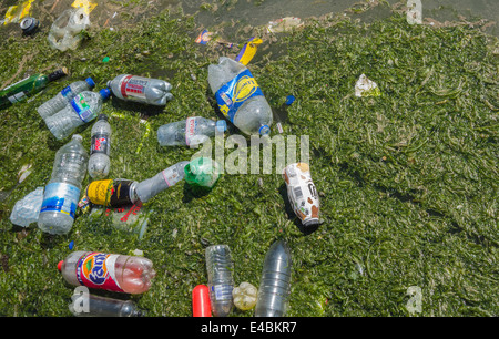 Strandgut auf einem Marine Lake, Western-super-Mare, Somerset, England, Großbritannien Stockfoto