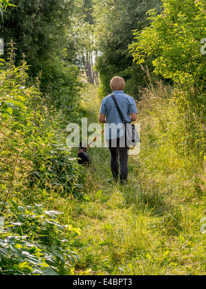 Junge Frau bei einem Spaziergang mit deutscher Schäferhund Welpen auf dem Lande Stockfoto