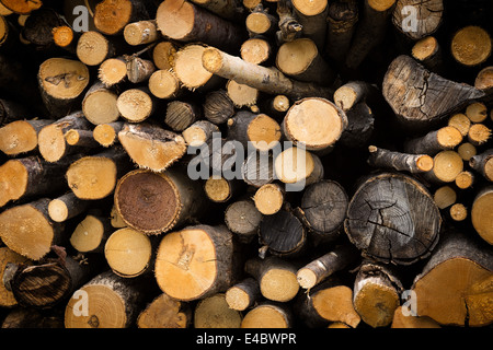 Holz-Haufen, in der Nähe von Montecenisio im Susa-Tal, Italien fotografiert. Stockfoto