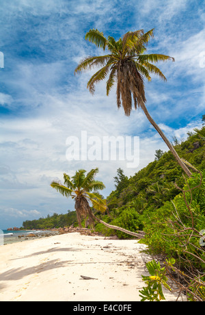 Einsamen tropischen Strand im Paradies Stockfoto