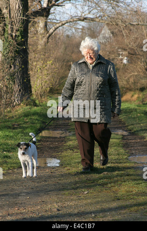 Gassi gehen Stockfoto