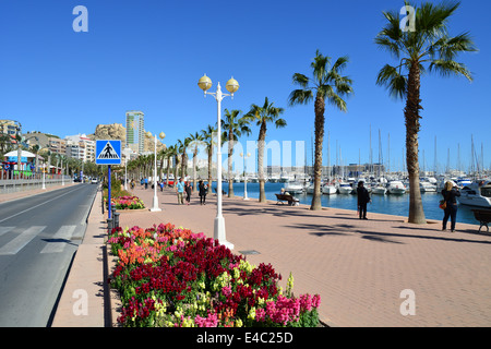 Strandpromenade Esplanade, Hafen von Alicante, Alicante, Costa Blanca, Provinz Alicante, Königreich Spanien Stockfoto