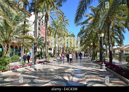 Explanada de España, Alicante, Costa Blanca, Provinz Alicante, Königreich von Spanien Stockfoto