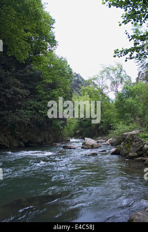 Picos de Europa Gebirge, Kantabrien und Asturien Segovia, Spanien Stockfoto