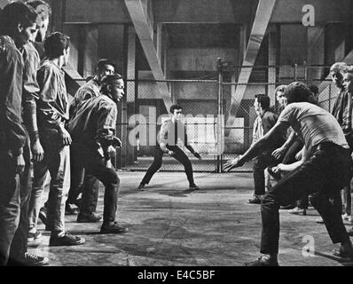 George Chakiris (Center-Hintergrund), Russ Tamblyn (Zentrum-im Vordergrund), Kampf-Szene am Set des Films, "West Side Story", 1961 Stockfoto