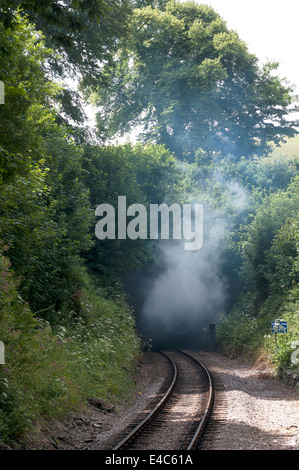 Rauchen verlassen Greenway Tunnel, Dampfzug zum Greenway Halt, Greenway Einhalt zu Gebieten ist eine brandneue stoppen, Dampfzug in Paignton oder Kingswe Stockfoto