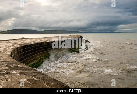 Ein stürmischer Tag auf dem Cobb in Lyme Regis in Dorset, England UK Stockfoto