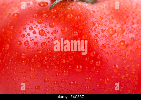 Textur der Tomate mit Tau fällt, Nahaufnahme Stockfoto