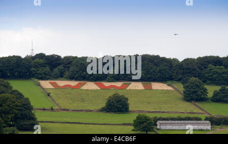 Belper, Derbyshire, UK. 8. Juli 2014.    Ein Weltkrieg zwei Tiger Moth Tipps seine Flügel in Erinnerung, wie er über ein Feld fliegt wo Mohn buchstabieren WW1 in riesigen roten Lettern mit Blick auf Belper in Derbyshire. Die riesigen 100 Fuß Buchstaben wurden von Mitgliedern der Belpers Armee-jüngstere Söhne mit 25 Millionen Mohn im Herbst letzten Jahres - eine für jeden Mann und Pferd getötet in den ersten Weltkrieg gesät. Stockfoto