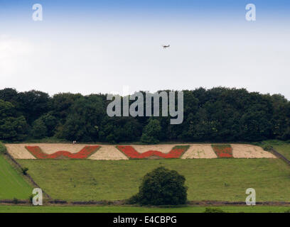 Belper, Derbyshire, UK. 8. Juli 2014.    Ein Weltkrieg zwei Tiger Moth Tipps seine Flügel in Erinnerung, wie er über ein Feld fliegt wo Mohn buchstabieren WW1 in riesigen roten Lettern mit Blick auf Belper in Derbyshire. Die riesigen 100 Fuß Buchstaben wurden von Mitgliedern der Belpers Armee-jüngstere Söhne mit 25 Millionen Mohn im Herbst letzten Jahres - eine für jeden Mann und Pferd getötet in den ersten Weltkrieg gesät. Stockfoto