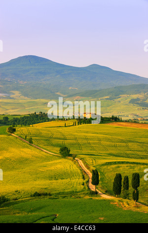 Im Herzen der Toskana steht in der Landschaft des Val d ' Orcia, in der Nähe von Pienza Agriturismo Podere Terrapille Stockfoto