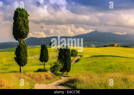 Im Herzen der Toskana steht in der Landschaft des Val d ' Orcia, in der Nähe von Pienza Agriturismo Podere Terrapille Stockfoto