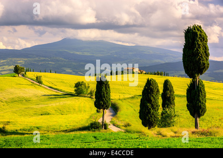 Im Herzen der Toskana steht in der Landschaft des Val d ' Orcia, in der Nähe von Pienza Agriturismo Podere Terrapille Stockfoto