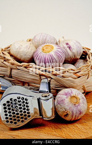 Knoblauch Zwiebeln in einem Weidenkorb mit einer Knoblauch drücken Sie auf einem Holzbrett. Stockfoto