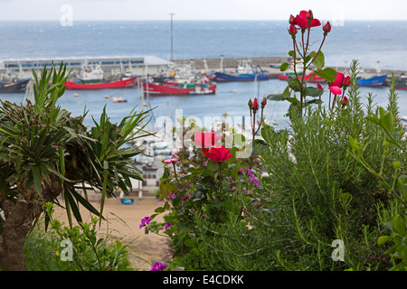 Getaria, Gipuzkoa, Baskisches Land, Spanien. Die geschäftigen kommerziellen Fischerhafen. Stockfoto