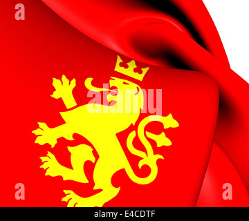 Ethnischer Macedonian Lion Flagge. Hautnah. Stockfoto