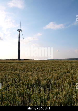 Windkraftanlage in einem Feld von Weizen, Cornwall, UK Stockfoto