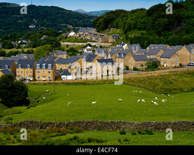 Neue Wohnsiedlung bebaut Landschaft am Stadtrand von Buxton im Peak District Derbyshire England UK mit Schafen in Bereichen Stockfoto