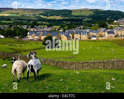 Neue Wohnsiedlung bebaut Landschaft am Stadtrand von Buxton im Peak District Derbyshire England UK mit Schafen in Bereichen Stockfoto