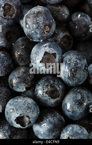 Frische Bio roh Heidelbeeren in einem Korb Stockfoto