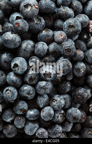 Frische Bio roh Heidelbeeren in einem Korb Stockfoto