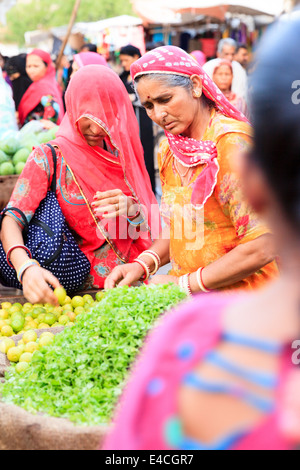 Frauen in bunten Saris kaufen Obst und Sadar. Markt / Basar, Jodhpur, Rajasthan, Indien Stockfoto