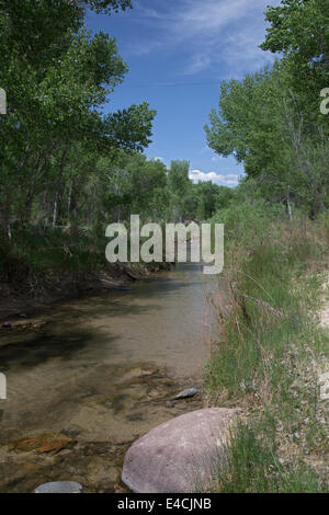 Escalante, Utah - Escalante River im Grand Staircase-Escalante National Monument. Stockfoto