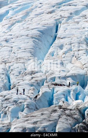 Eiskletterer auf Harding Icefield, Exit-Gletscher, Kenai Fjords National Park, in der Nähe von Seward, Alaska. Stockfoto