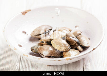 Roher Muscheln Vongole in Vintage Keramik Sieb und fallende Tropfen auf weißem Holz Hintergrund Stockfoto