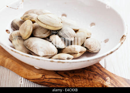 Roher Muscheln Vongole in Vintage Keramik Sieb auf weißem Holz Hintergrund Stockfoto