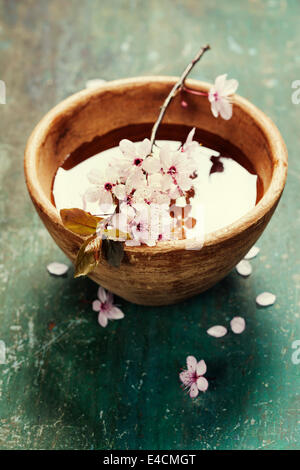 Frühlingsblumen für Wellness und Aromatherapie über hölzerne Hintergrund Stockfoto