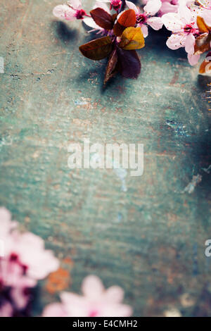 Spring Blossom auf rustikalen Holztisch Stockfoto