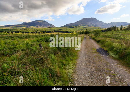 Die Rhinogs von der Nord-Ostseite gesehen Stockfoto