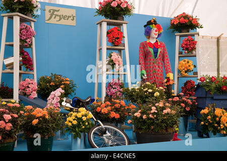 Hampton Court, 8. Juli 2014, Friteusen anzeigen bei RHS Hampton Court Palace Flower zeigen 201 Credit: Keith Larby/Alamy Live News Stockfoto