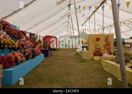 Hampton Court, 8. Juli 2014, der Zirkus-Festzelt an RHS Hampton Court Palace Flower zeigen 201 Credit: Keith Larby/Alamy Live News Stockfoto