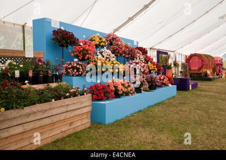 Hampton Court, 8. Juli 2014, der Zirkus-Festzelt an RHS Hampton Court Palace Flower zeigen 201 Credit: Keith Larby/Alamy Live News Stockfoto