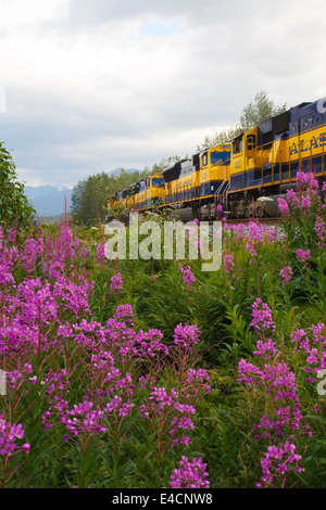 Alaska Railroad, Seward, Alaska. Stockfoto