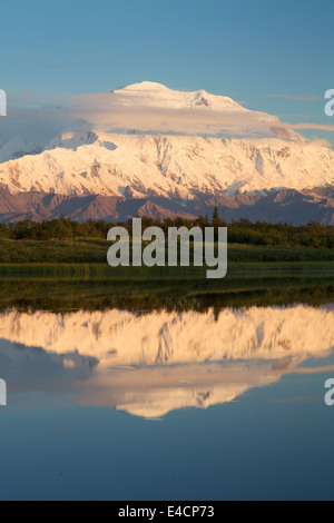 Mt. McKinley, lokal bekannt als Denali am Reflection Pond, Denali-Nationalpark, Alaska. Stockfoto