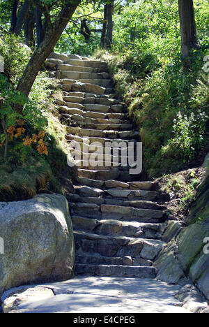 Naturen Treppe Stockfoto