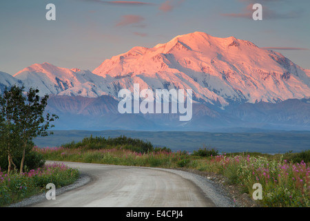 Mt McKinley auch bekannt als Denali Denali Nationalpark, Alaska. Stockfoto