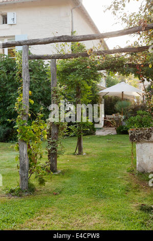 Rosen und Blauregen wächst langsam auf einer Pergola aus Holz im ländlichen französischen Garten Stockfoto